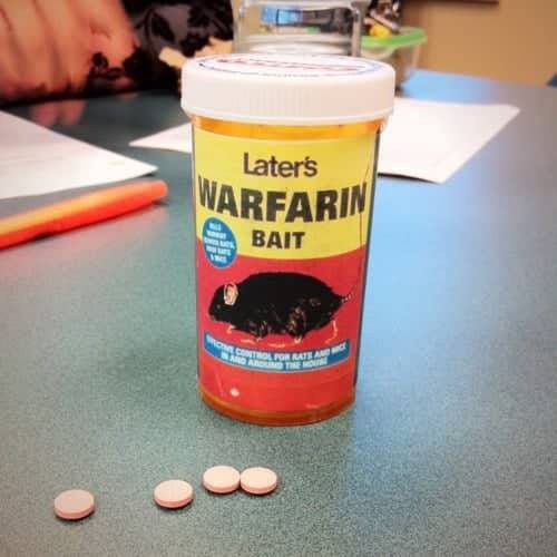 
Thuốc diệt chuột loại Dethmor (Warfarin). Ảnh minh họa
