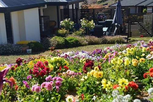 Khu vườn hoa rực rỡ sắc màu của chị Huyền tại Australia khiến các con của chồng rất thích thú.
