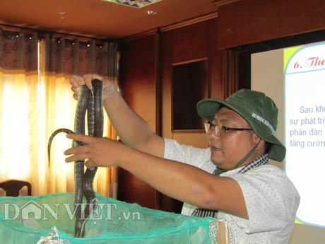 Anh Bùi Hoàng Bằng bắt từng bầy rắn ri cá trong lưới mùng lên giới thiệu tại cuộc thi Sáng tạo kỹ thuật thị xã Ngã Bảy, tỉnh Hậu Giang năm 2017.