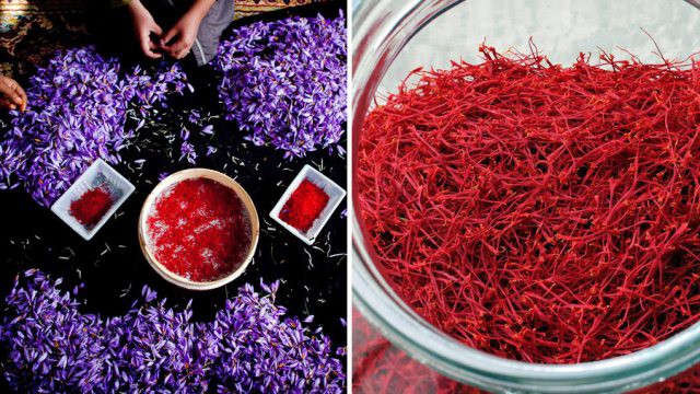 Trào lưu săn lùng nhụy nghệ tây rầm rộ từ vài năm trở lại đây. Tuy nhiên nếu không cẩn thận, người tiêu dùng rất dễ bị lừa.