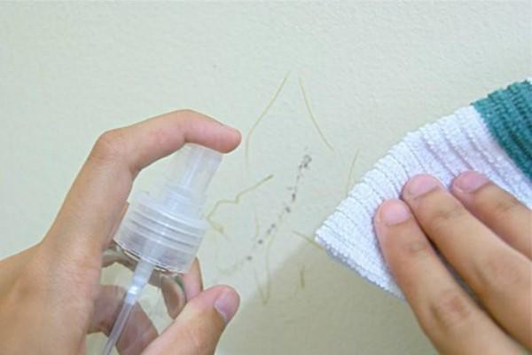 Đối với những vết mực từ bút bi hay bút chì màu, bạn cần có keo xịt tóc xịt thẳng vào vết bẩn trên tường. Dùng vải trắng lau thật sạch. Không được dùng vải màu, sẽ vấy bẩn thuốc nhuộm lên tường.