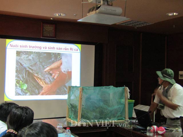 Anh Bùi Hoàng Bằng (phải) thuyết trình về quy trình kỹ thuật nuôi rắn ri cá thương phẩm, rắn ri cá sinh sản trước hội đồng giám khảo cuộc thi Sáng tạo kỹ thuật thị xã Ngã Bảy, tỉnh Hậu Giang năm 2017.