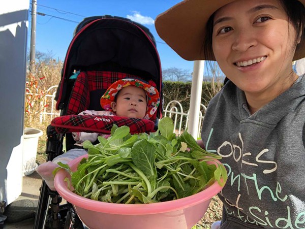 Lần về Việt Nam mới đây, chị Ngọc mang sang vài nhánh rau ngót Nhật và rau răm.