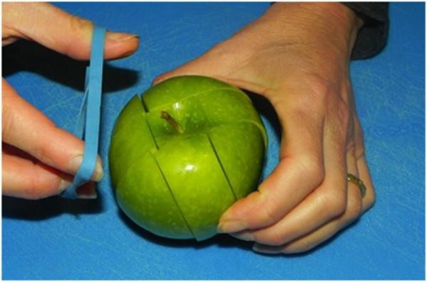 Muốn giữ trái cây tươi lâu khi đi du lịch, sau khi cắt thành các miếng nhỏ, bạn hãy cố định chúng bằng dây thun để không bị rớt ra ngoài hay bị thâm đen.