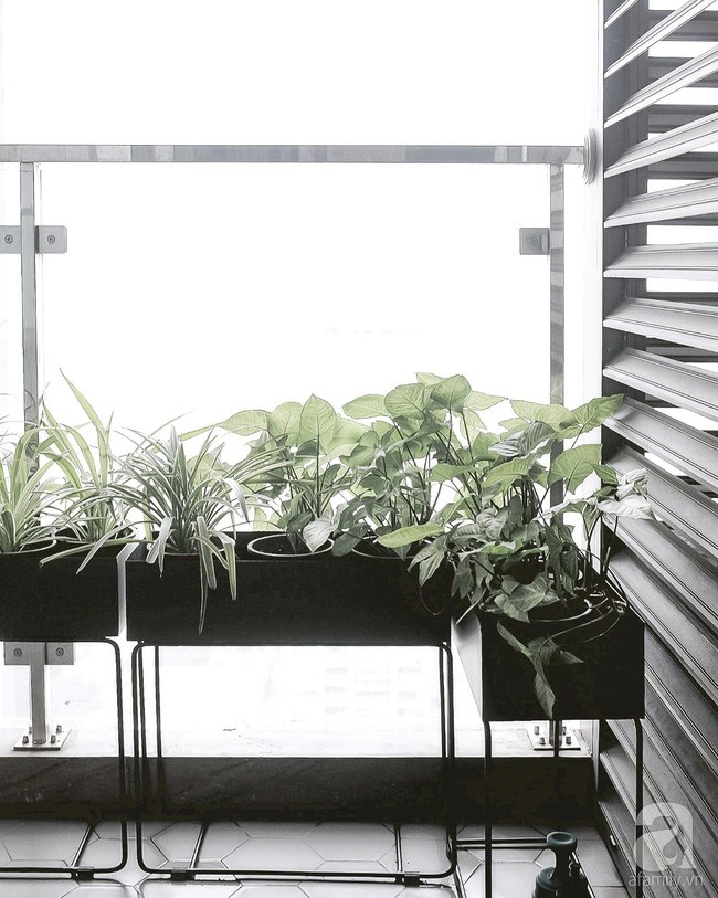 Góc xanh tươi, trong lành.