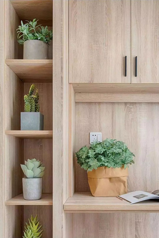 Các kệ tủ lưu trữ được đặt những chậu cây xương rồng nhỏ đẹp mắt.