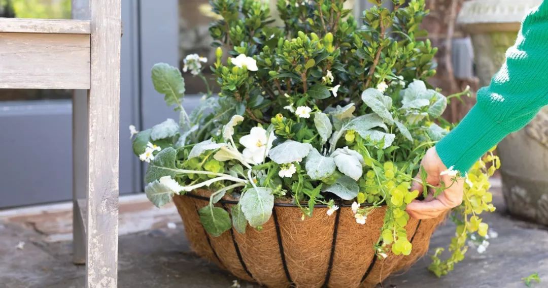 Mùi hương của đất, của hoa lá, luôn tạo nên những cảm nhận thật đẹp về nhịp đập của cuộc sống.