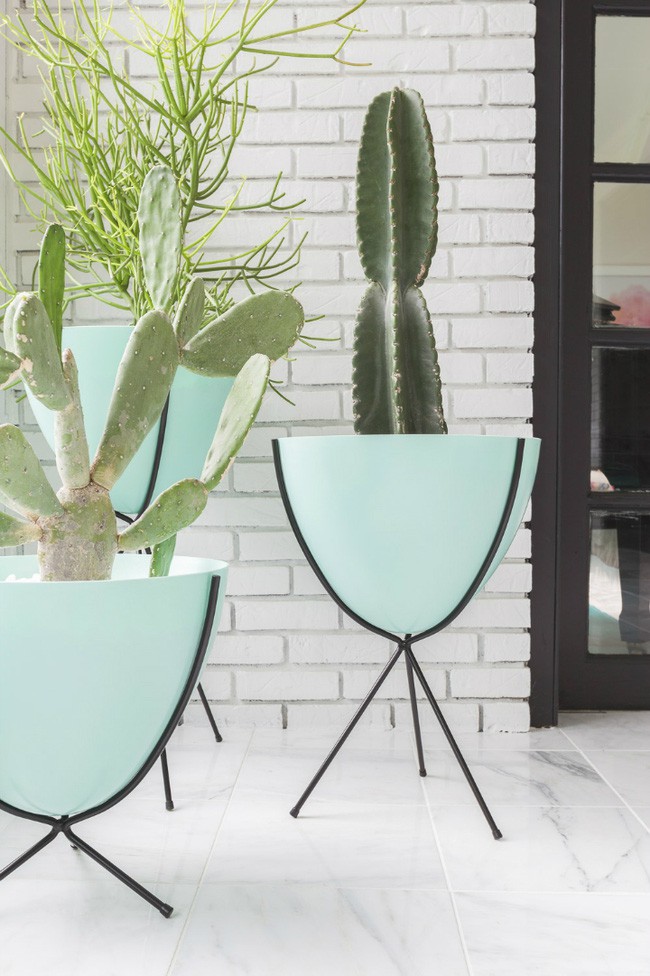 Những chiếc chậu cây cũng phải độc đáo, lạ mắt thế này cơ đó.