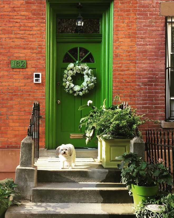 Ngôi nhà của bà Elizabeth cũng toàn màu xanh lá cây từ cửa trước đến sân sau và ở khắp mọi nơi trong không gian sống. Giường ngủ, màn cửa sổ, ghế, và thậm chí cả những thứ như chậu, chảo, bút và các sản phẩm vệ sinh đều có màu xanh huyền thoại.