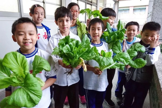 Các bạn học sinh nhỏ tuổi vô cùng yêu thích những bài học của thầy giáo về hưu này.