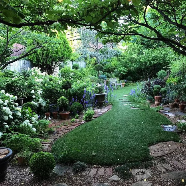 Góc vườn ngập tràn màu xanh.