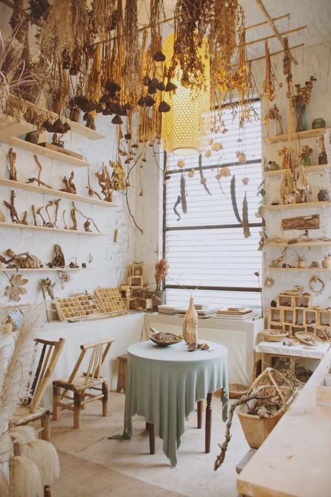 Góc phòng với bộ sưu tầm hoa cỏ.