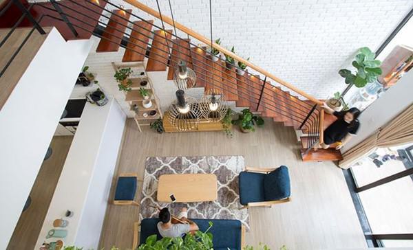 
Phòng khách gồm toàn đồ gỗ nội thất. Cây xanh được mang vào giúp tạo bầu không khí thoải mái, dễ chịu.
