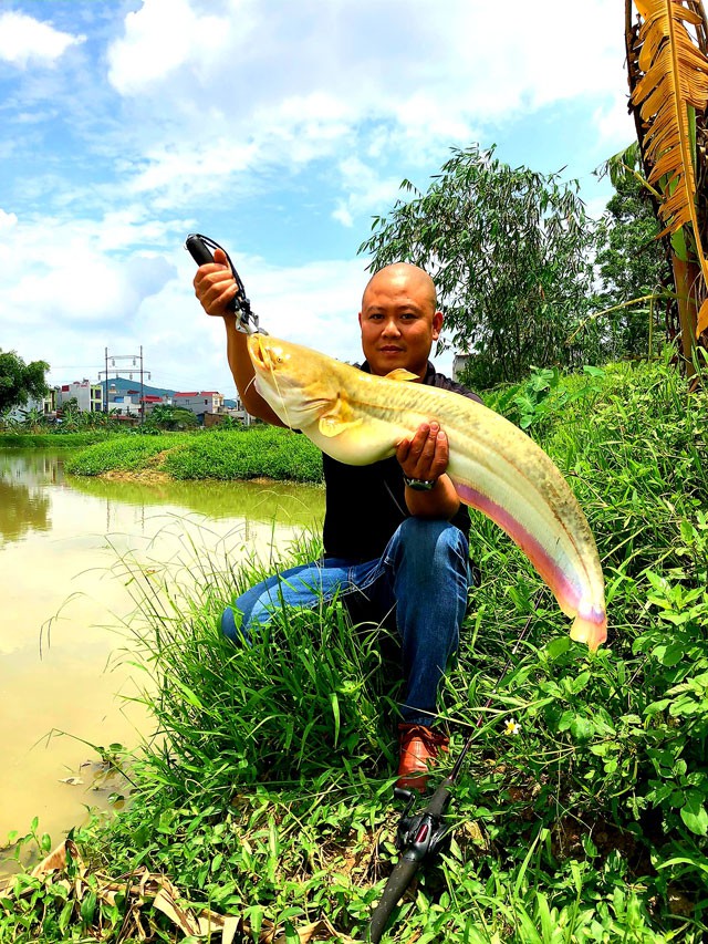 
Anh Dương Việt Anh khoe chiến lợi phẩm là con cá nheo có trọng lượng khủng câu được ngay tại hồ nuôi của mình. Ảnh: NVCC
