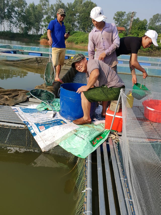 
Anh Dương Việt Anh (người ngồi) cùng công nhân phân loại và kiểm tra tình trạng của cá nuôi theo định kỳ. Ảnh: Hoàng Huyền
