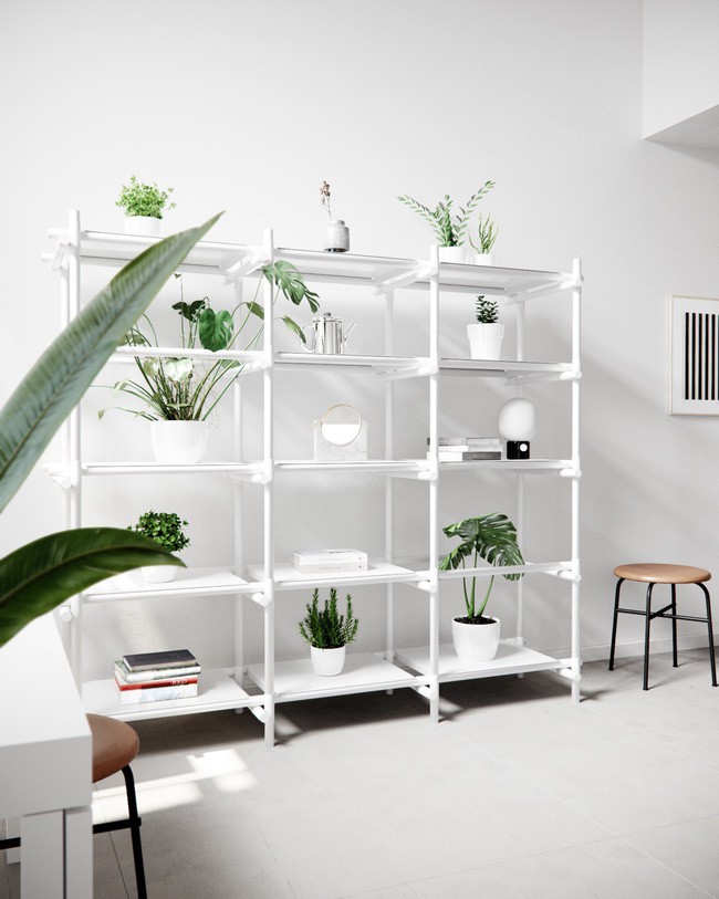 Kệ trang trí xinh xắn với điểm nhấn từ cây xanh.