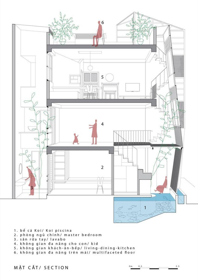 Thiết kế mặt cắt của ngôi nhà.