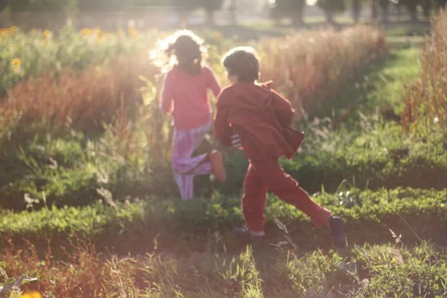 Thiên nhiên là bài học lớn đối với mỗi người.
