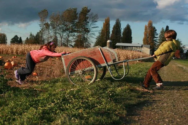 Lao động luôn tạo ra niềm vui và sự trưởng thành.