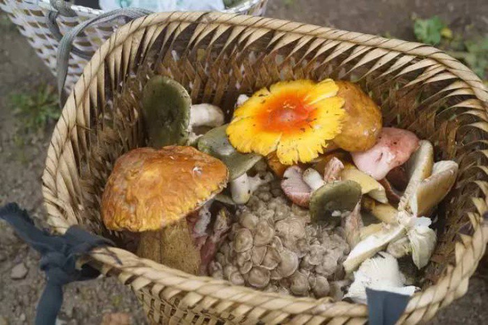 Cuộc sống đơn sơ, giản dị...