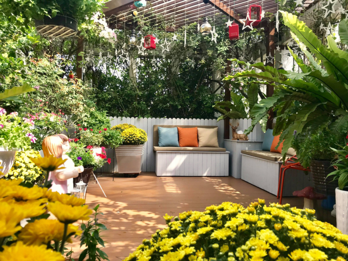 Mỗi khoảng thời gian trong năm, dịp lễ Tết, chị Hiền lại khoác tấm áo mới cho khu vườn bằng những món đồ trang trí hoặc chậu hoa mang đặc trưng thời điểm đó. Cách đây gần một tuần, tranh thủ những lúc rảnh rỗi, chị Hiền đã mua những chậu cúc vàng, dạ yến thảo... về bày ở góc vườn, tạo không khí mùa xuân trước thềm năm mới.