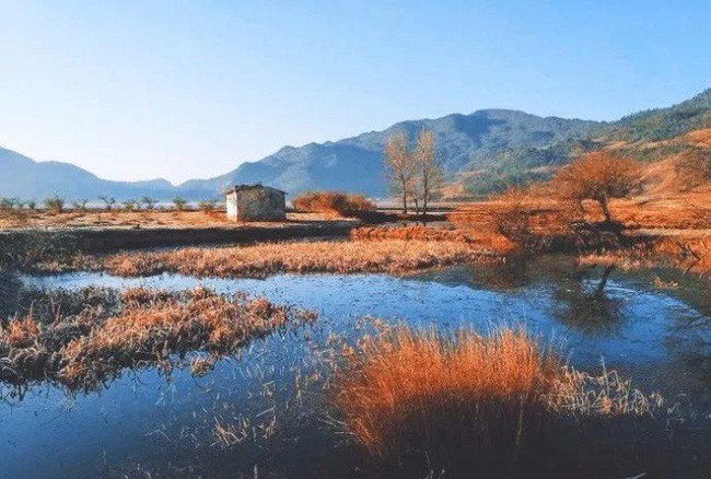 Phong cảnh bên ngoài nhà đẹp lãng mạn khi thu về.