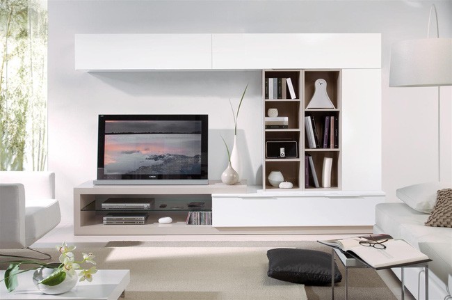 Kệ ti vi và giá sách được thiết kế hiện đại, bắt mắt.