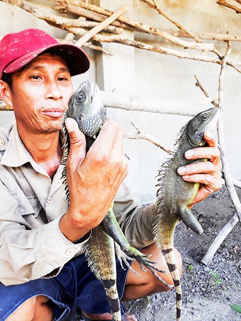 
Anh Nguyễn Thanh Điền có những thành công bước đầu khi nuôi kỳ tôm.
