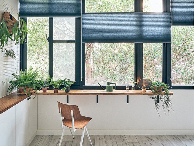 Họ còn khá chú ý đến không gian sống xung quanh, sự tương tác với môi trường và chủ sở hữu để mang lại cuộc sống tuyệt vời hơn.