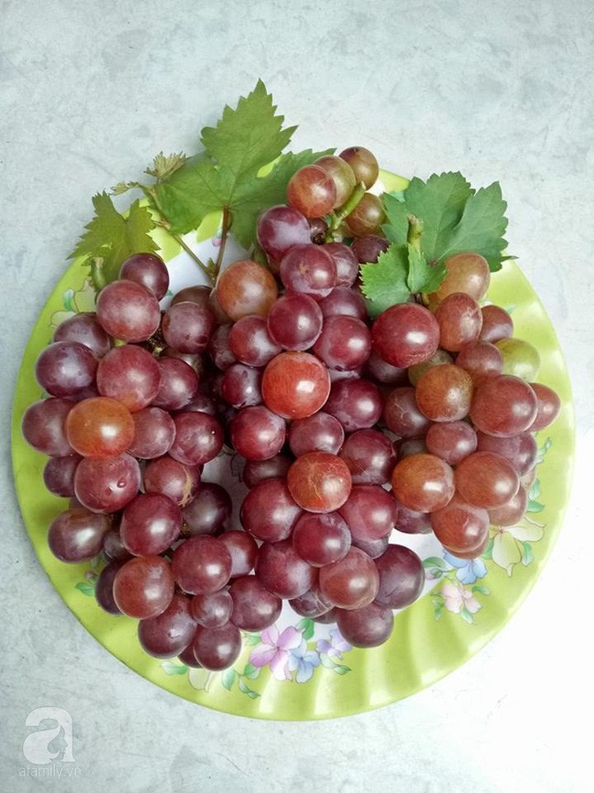 Những đĩa nho ngon lành là món tráng miệng cả nhà chị Quyên yêu thích.