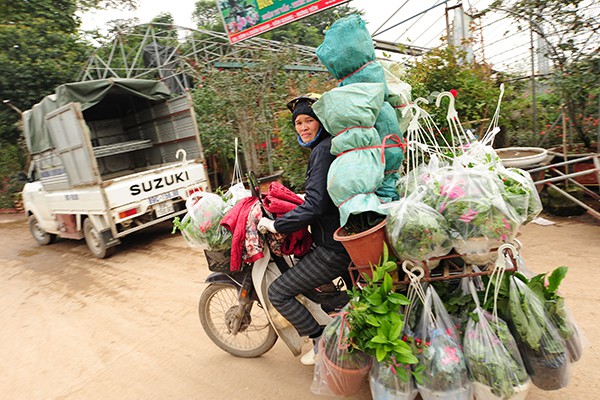 
Nghề trồng hoa phát triển tăng thêm nhiều việc làm cho lao động tại địa phương.
