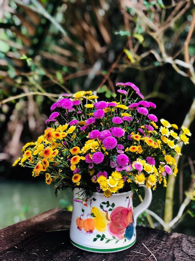 Hoa cúc mang vẻ đẹp rực rỡ vào nhà trong năm mới.