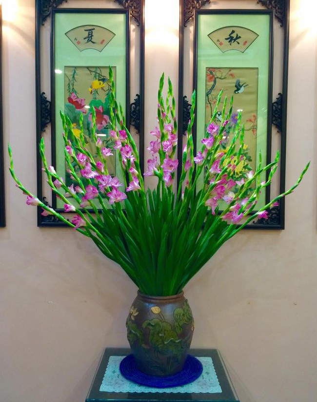 Hoa lay ơn có nhiều màu, dễ cắm giúp không gian sống đẹp hơn trong những ngày Tết.