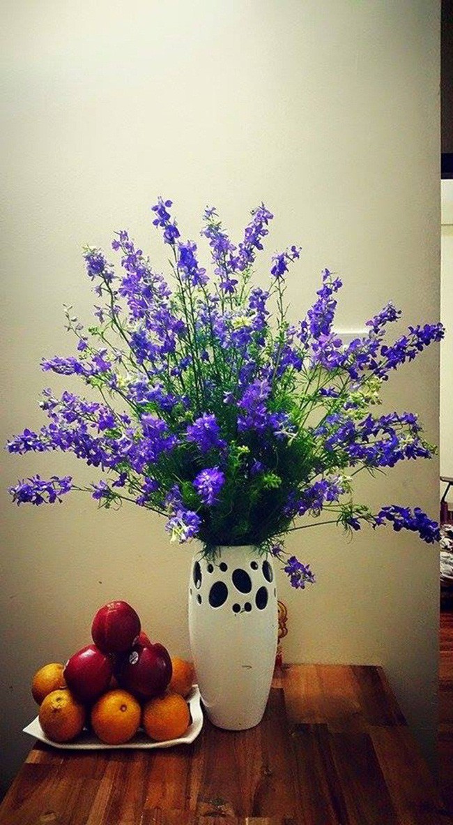 Không gian ấm cúng, dịu dàng với loài hoa giản dị này.