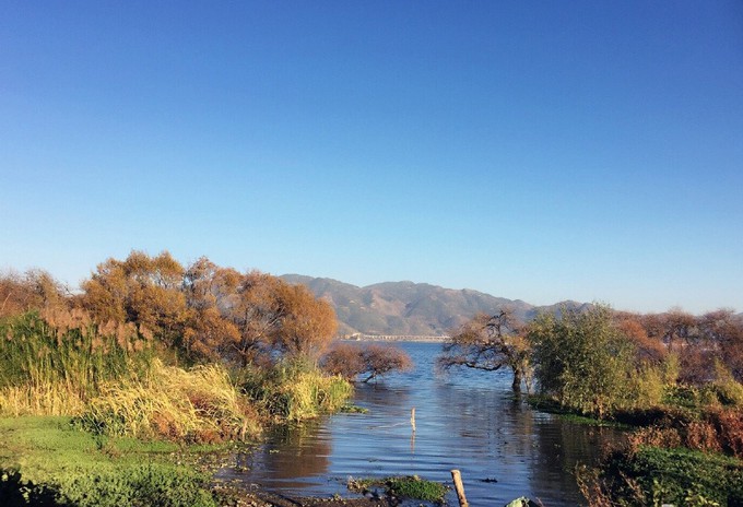 Không gian hồ núi nhìn từ nhà của Dương Lệ Bình. Trên Weibo, hàng nghìn khán giả ví nơi ở của cô như tiên cảnh.