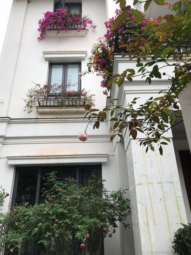 Ước tính giá trị của căn biệt thự này lên tới hàng chục tỷ đồng.