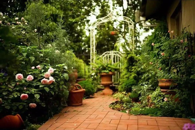 Lối đi dạo ngập tràn hương sắc của hoa.