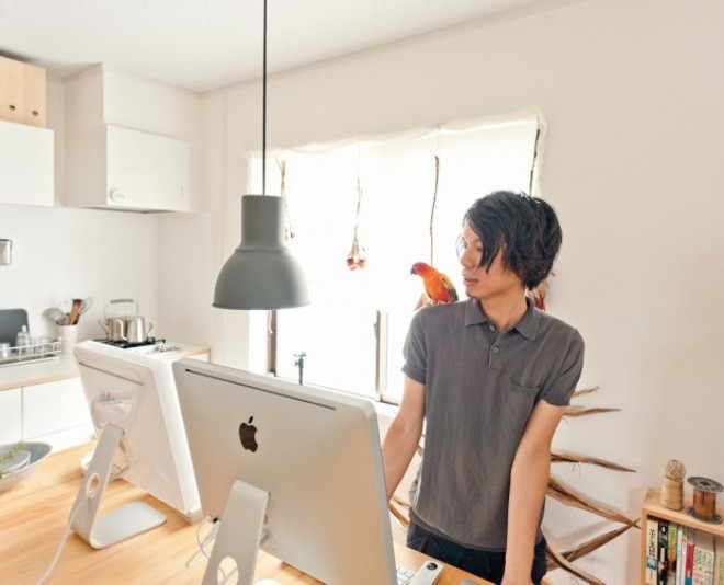 Vẹt giúp các khoảng chức năng như vui mắt vui tai hơn.