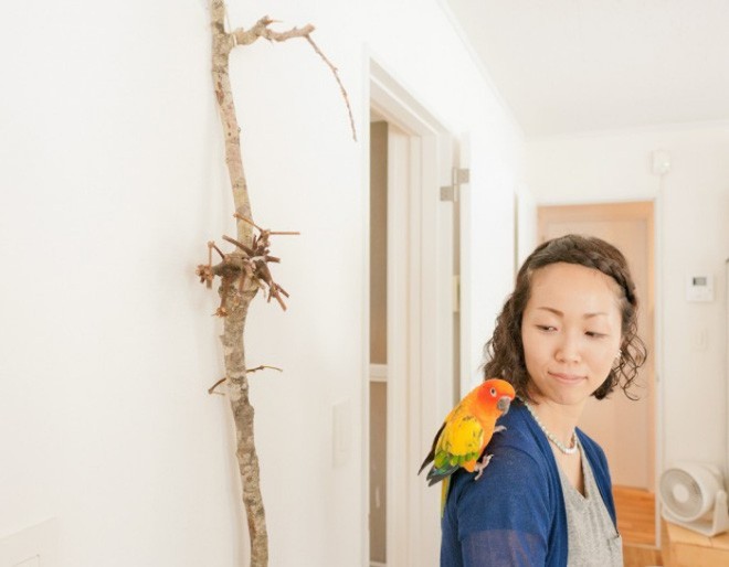 Chú vẹt đáng yêu đậu trên vai của cô vợ trẻ.