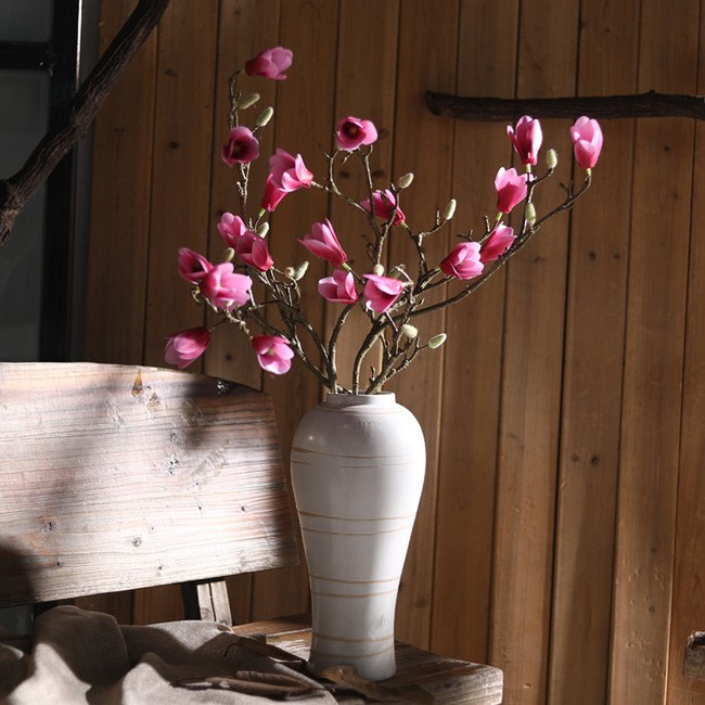 Hoa mộc lan dịu dàng.