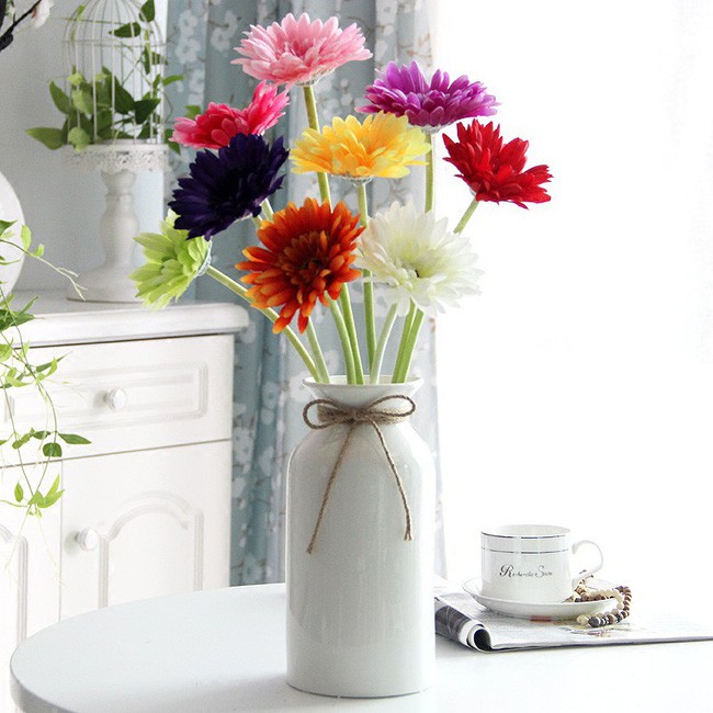 Hoa đồng tiền được mix nhiều màu lạ mắt.