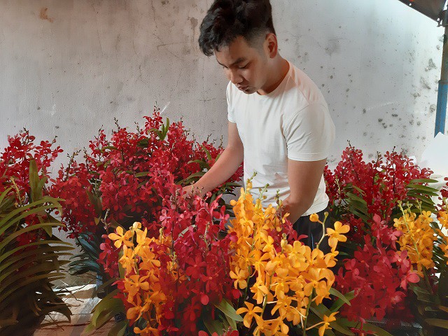Mỗi cành sẽ có từ 2-4 vòi hoa, giá mỗi cành khoảng 250.00 đồng
