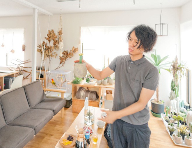 Trong các loại cây trồng trong nhà, vợ chồng trẻ Atsushi dành sự quan tâm đặc biệt và yêu thích cho các loại cây xương rồng. Người chồng kể rằng, anh đã từng đi du lịch và đến một cửa hàng ở Mexico, anh lập tức bị thu hút bởi các loài cây xương rồng trồng ở đó. Anh đã xin một cây về trồng làm kỷ niệm. Vợ chồng anh rất vui khi tổ ấm hiện tại có khá nhiều loại xương rồng khác nhau.
