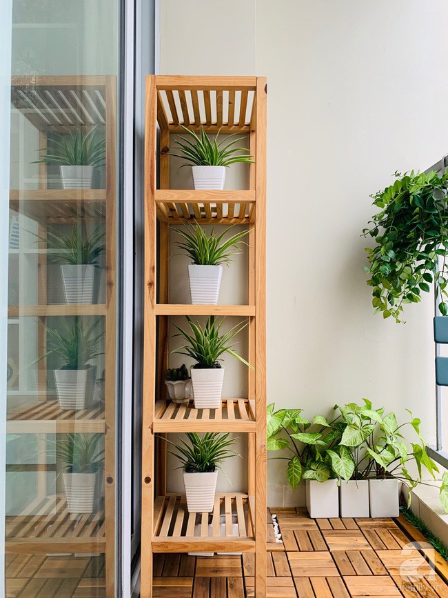 Một phần diện tích được đặt kệ trồng cây.