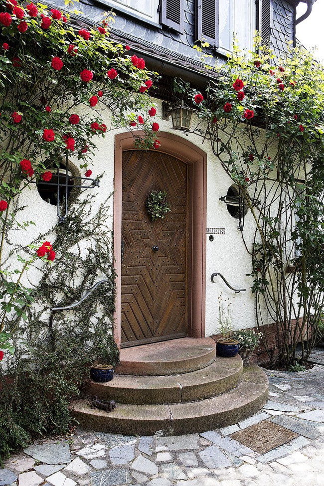 Những bụi hồng rực rỡ đẹp lãng mạn như một bài thơ.