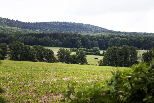 Từ sân nhà có thể ngắm nhìn đồi núi bao la, xa xa là vẻ đẹp bình yên, lặng lẽ của cây cối, của đàn ngựa thong dong gặm cỏ.