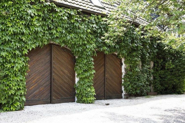 Khu vực để xe của ngôi nhà cũng được trồng dây leo xanh mướt.