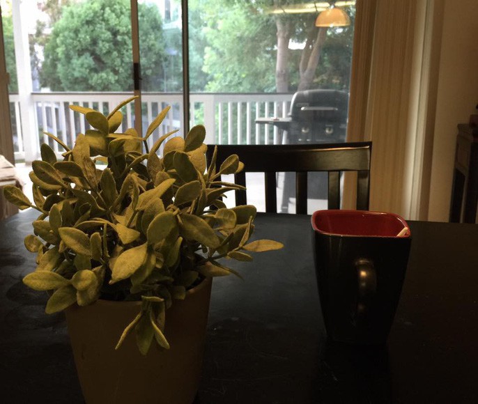 Có thể thấy Quang Dũng là một người yêu thiên nhiên khi bố trí bình hoa ở khắp nơi.