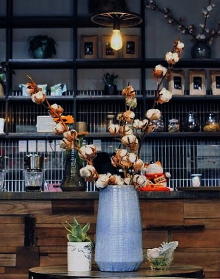 Hoa cotton khô phù hợp cắm riêng hoặc phối với các loại hoa khô khác. Ảnh: Thúy Hằng.