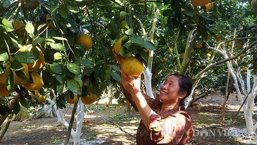 
Mặc dù mang bạo bệnh nhưng trên gương mặt người phụ nữ này lúc nào cũng nhận thấy niềm vui, sự lạc quan. Ảnh: C.L
